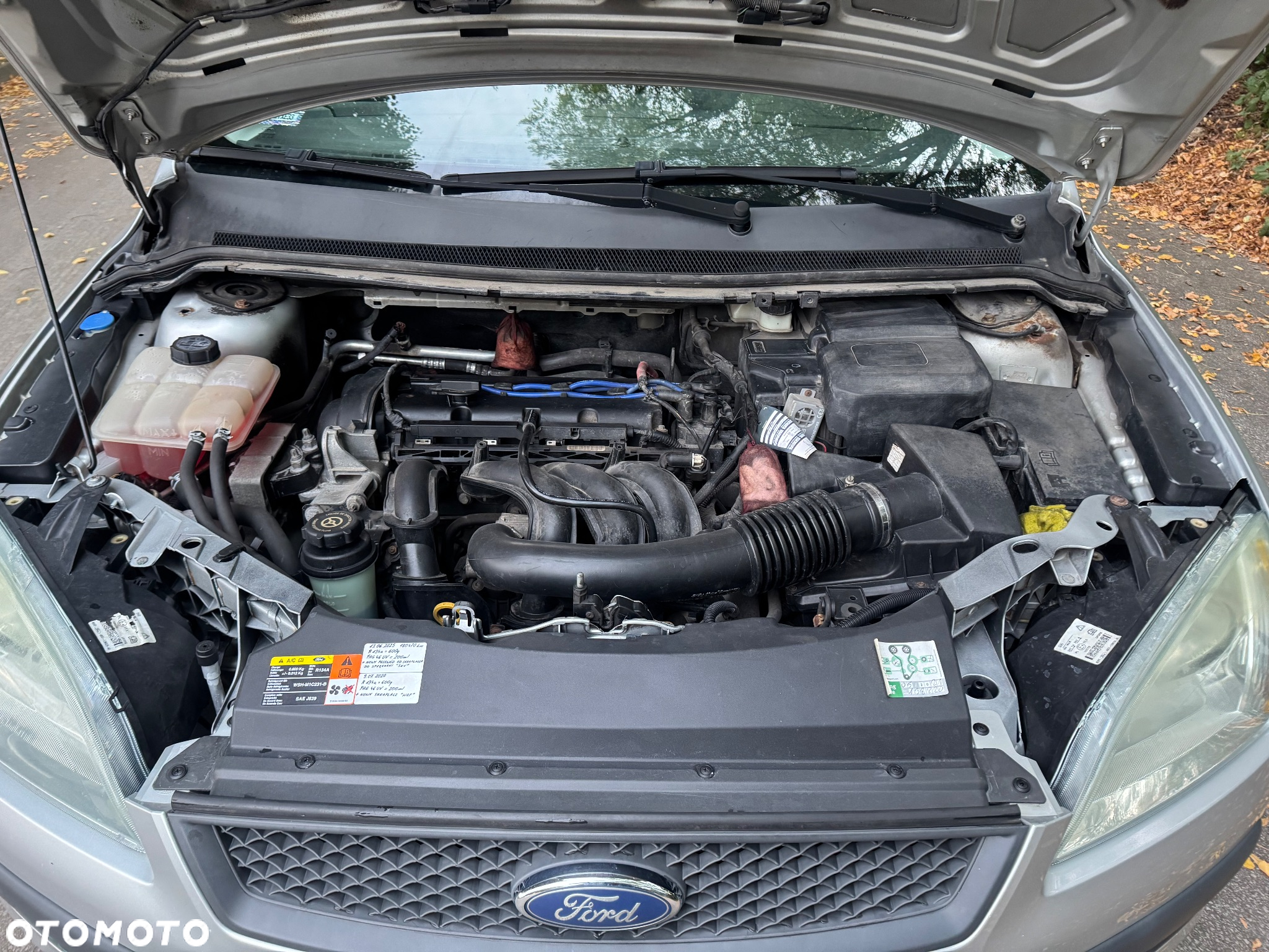 Ford Focus - 9