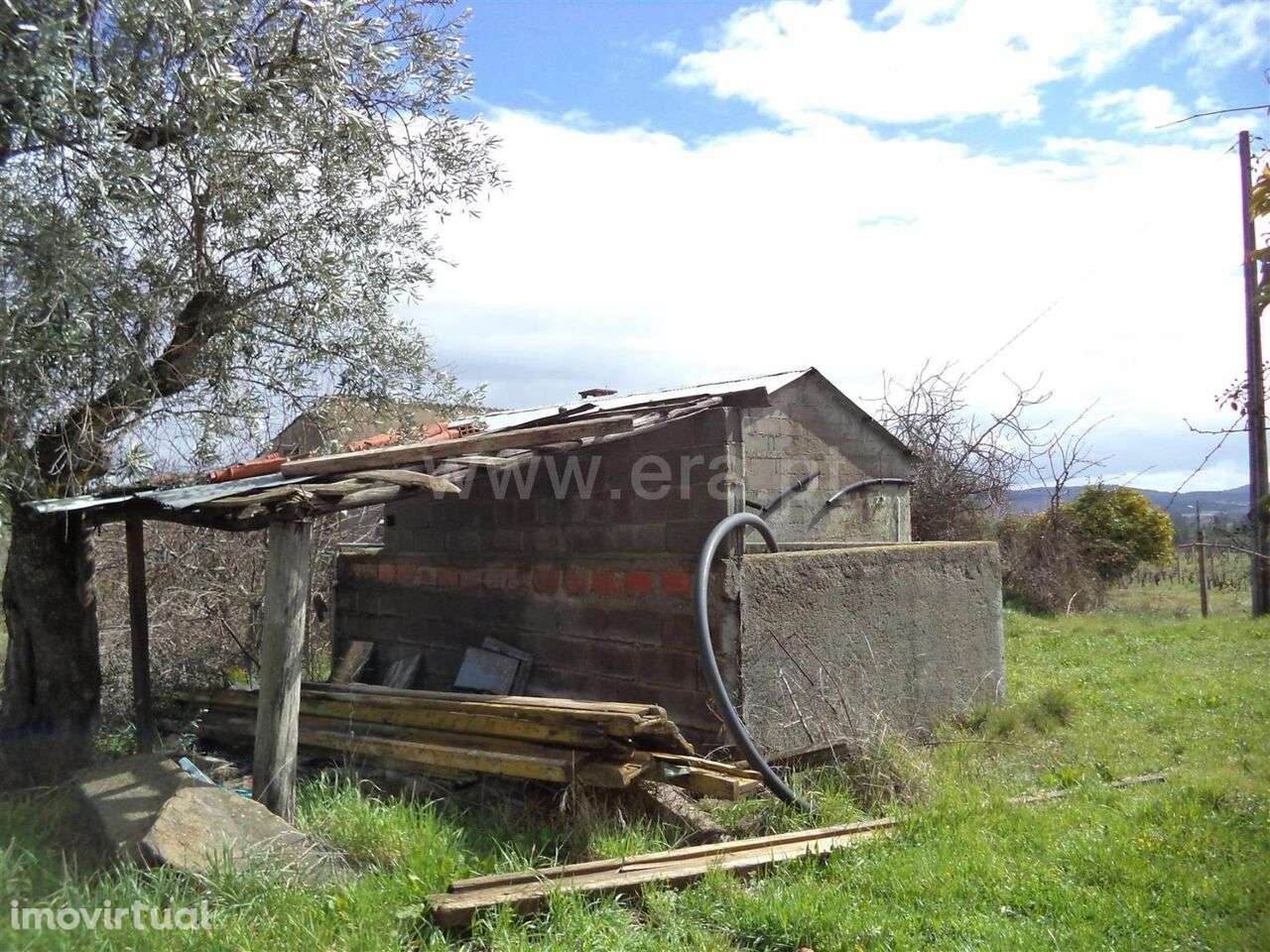 Terreno Rústico / Fundão, Vales Pêro Viseu - Grande imagem: 3/8