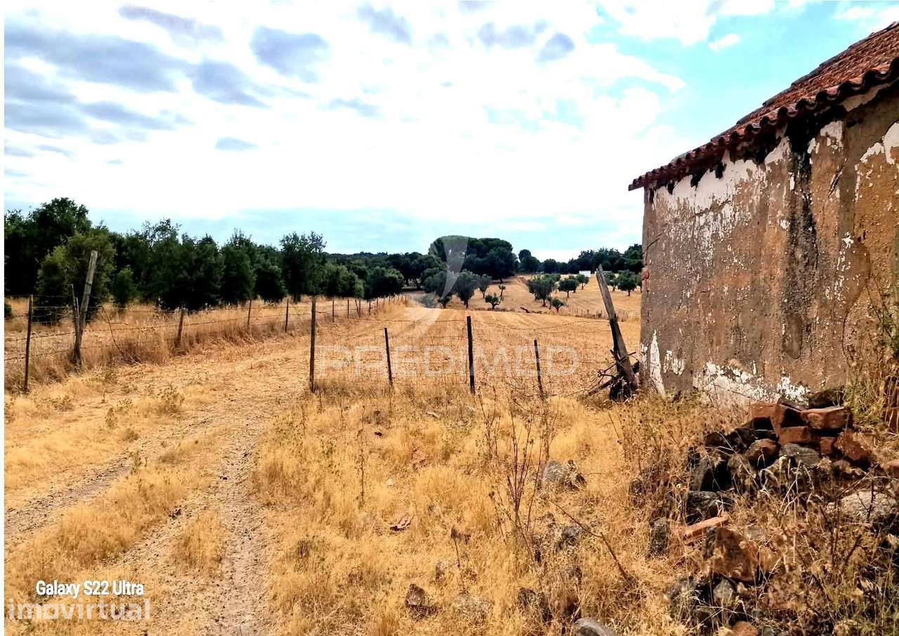 UM MONTE ALENTEJANO DEVIDAMENTE LEGALIZADO - Grande imagem: 5/14