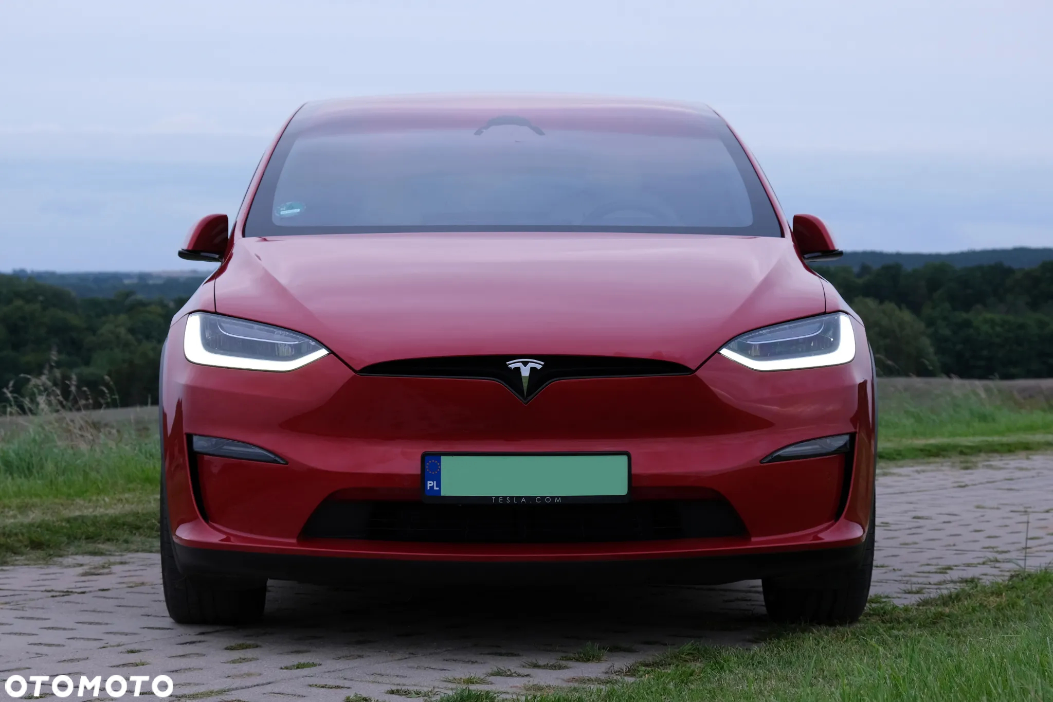 Tesla Model X Plaid - 3