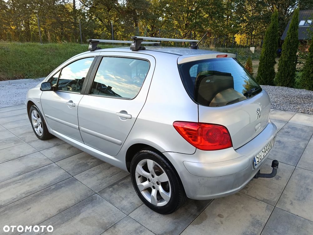 Peugeot 307 - 25