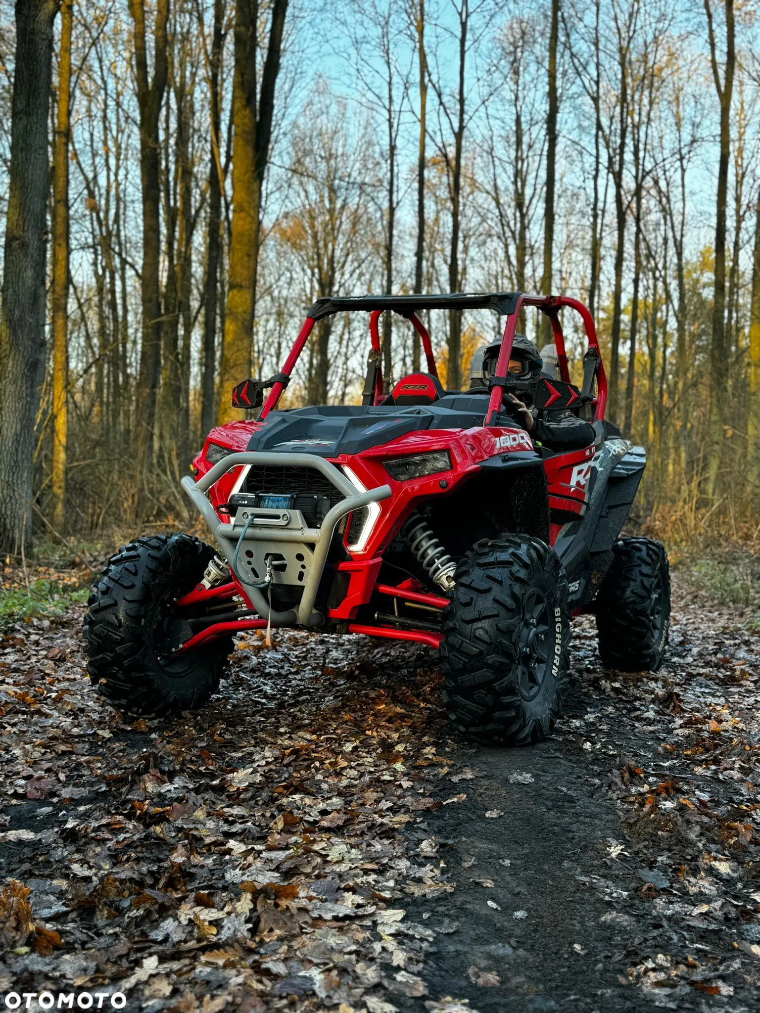Polaris RZR - 11