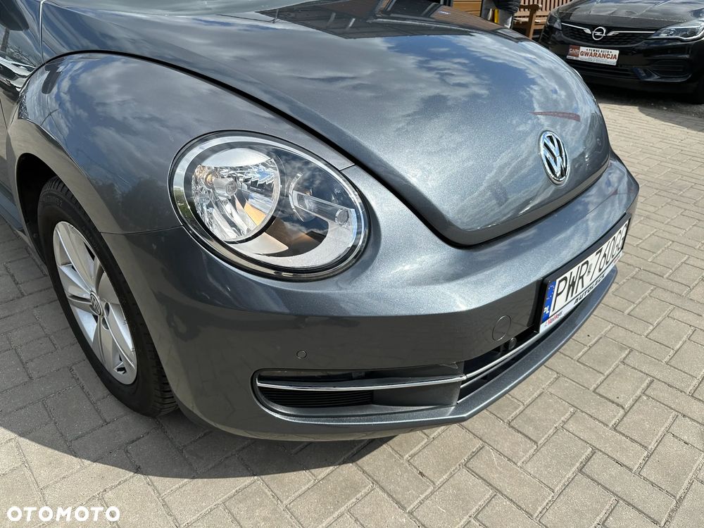 Volkswagen Beetle - 36