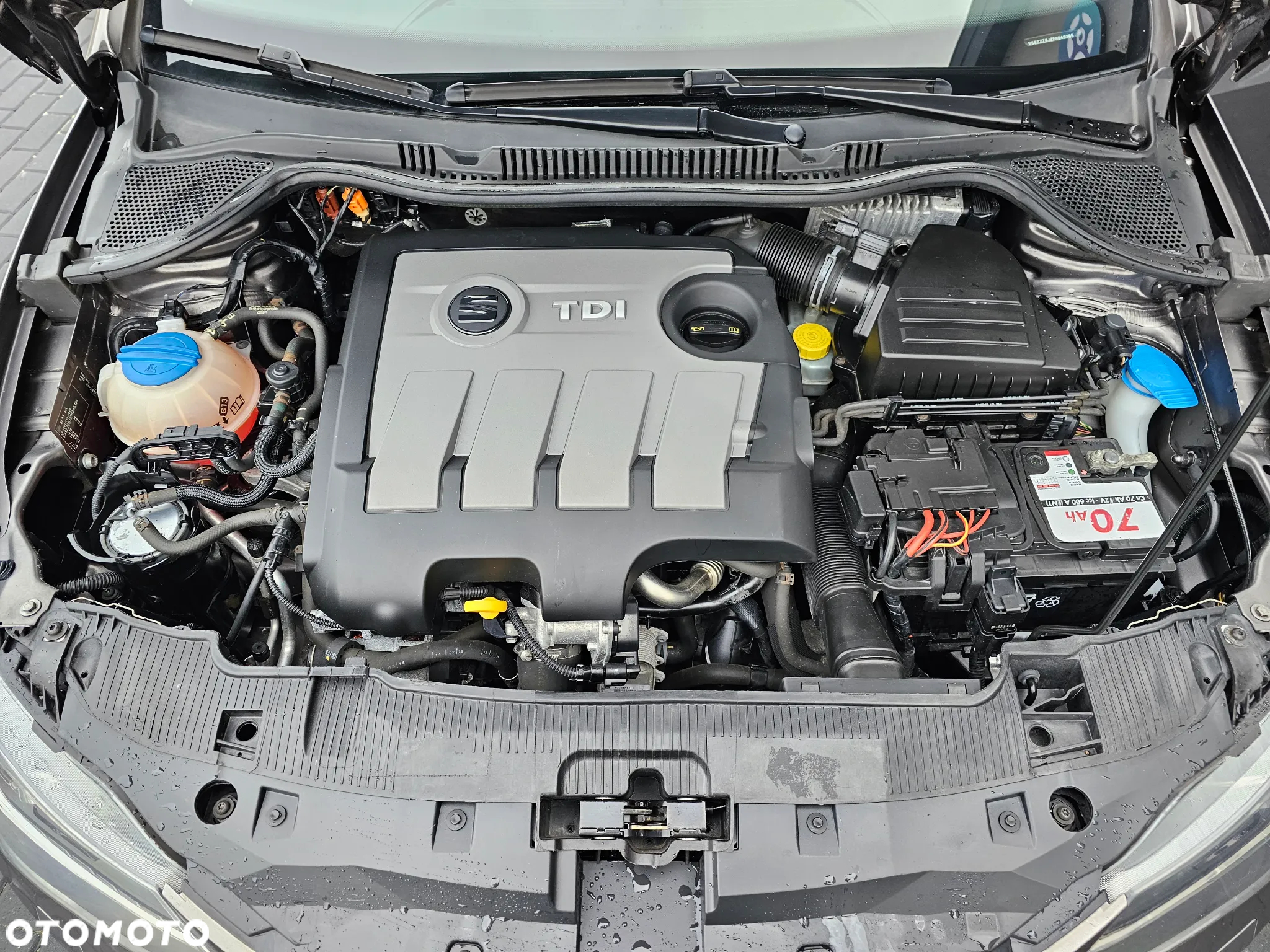 Seat Ibiza - 29