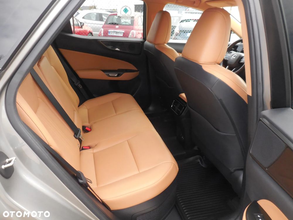 Lexus NX - 15
