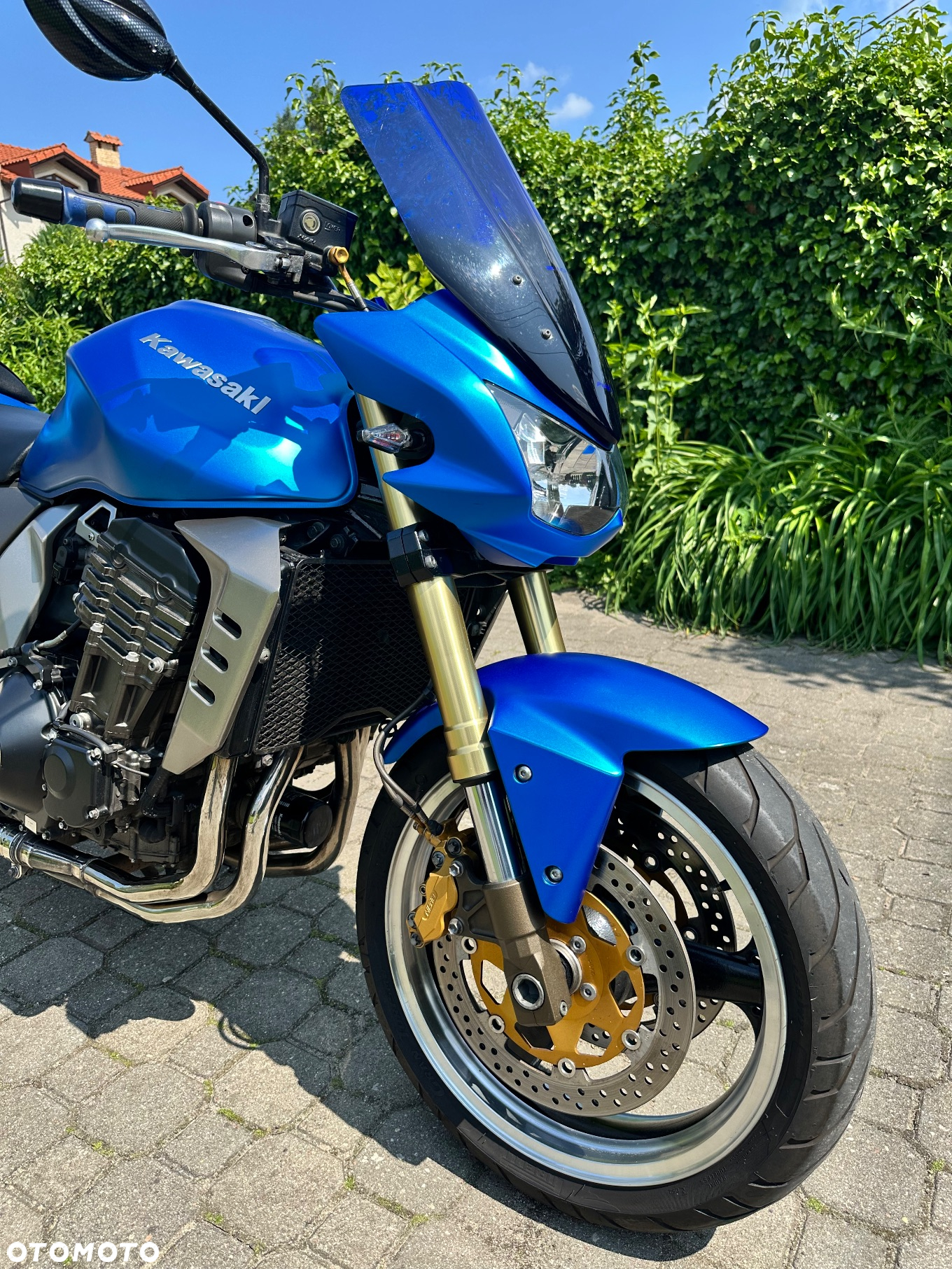 Kawasaki Z - 10