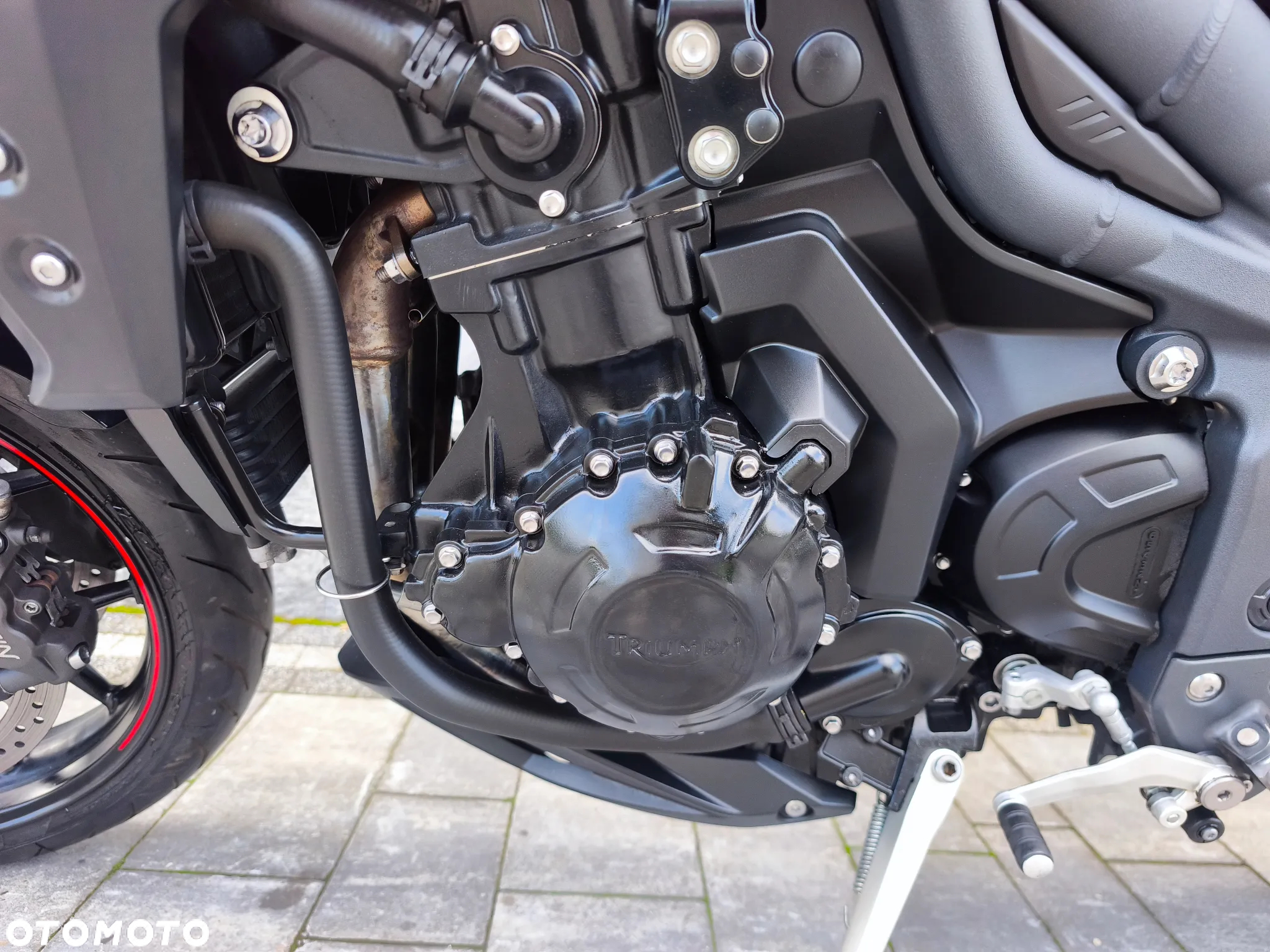 Triumph Tiger - 29