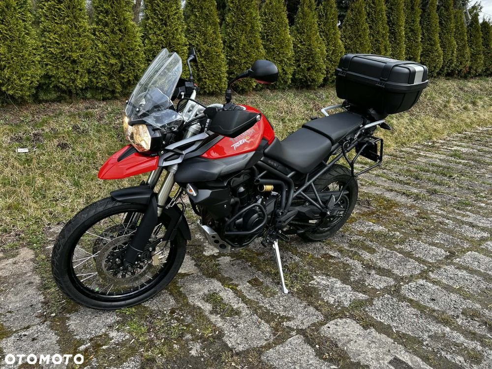 Triumph Tiger - 2
