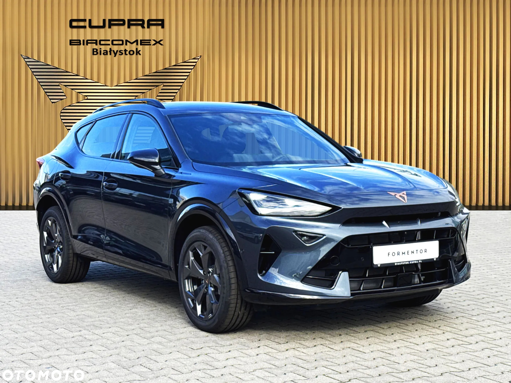 Cupra Formentor 2.0 TSI 4Drive DSG - 9