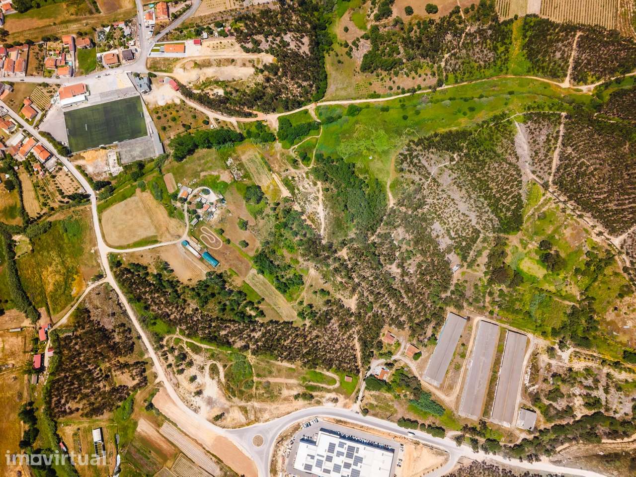 Terreno com quatro hectares e meio perto de indústria, no concelho ... - Grande imagem: 2/18