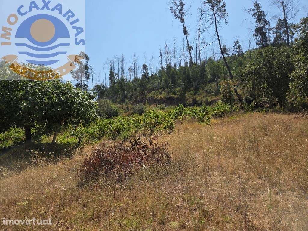 Terreno - Grande imagem: 4/19