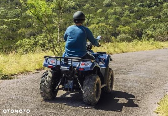 Kawasaki Brute Force - 16