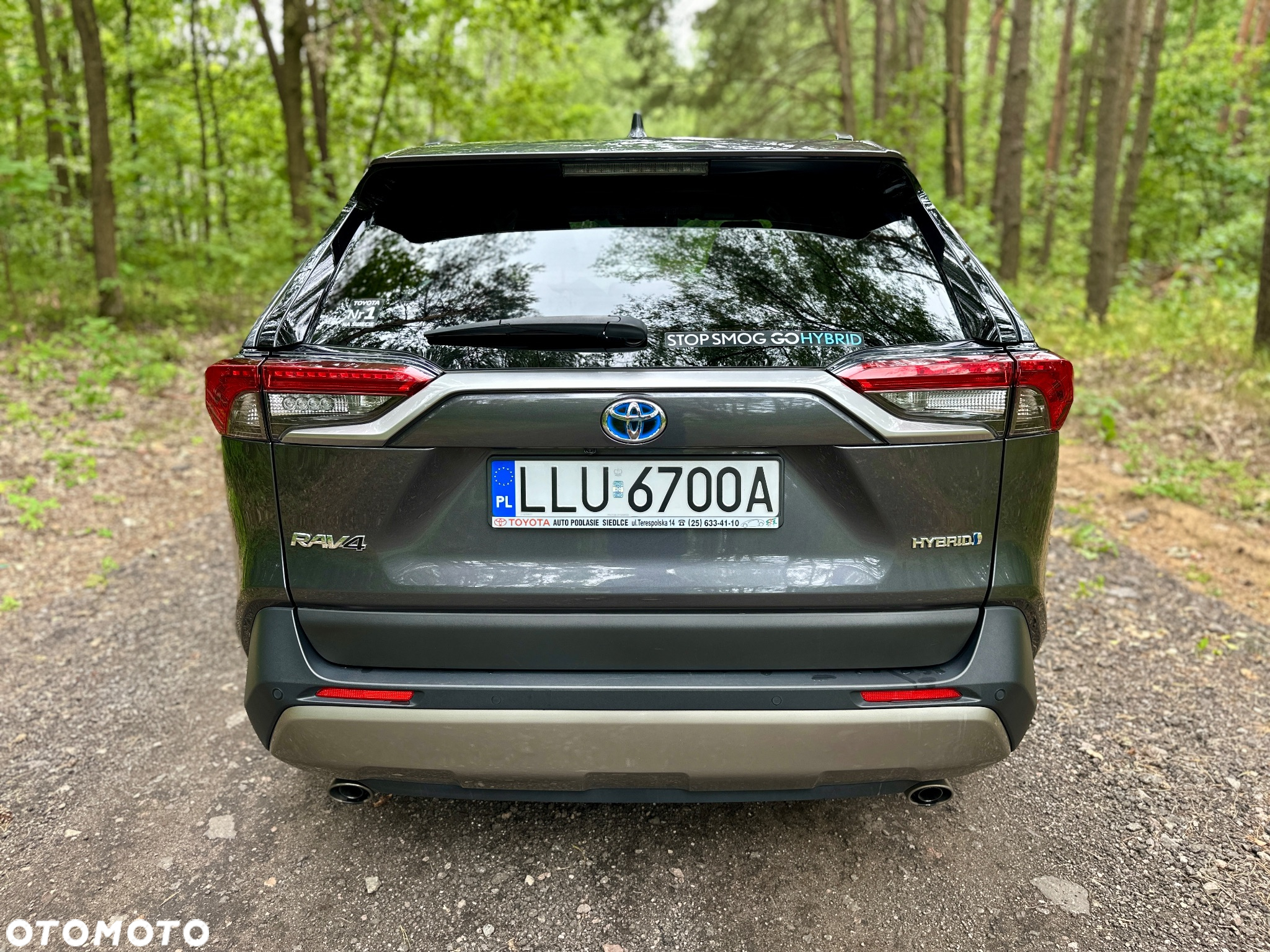 Toyota RAV4 2.5 Hybrid Executive 4x2 - 7