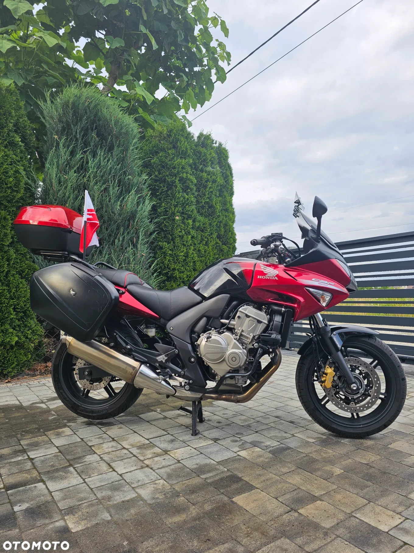 Honda CBF - 13