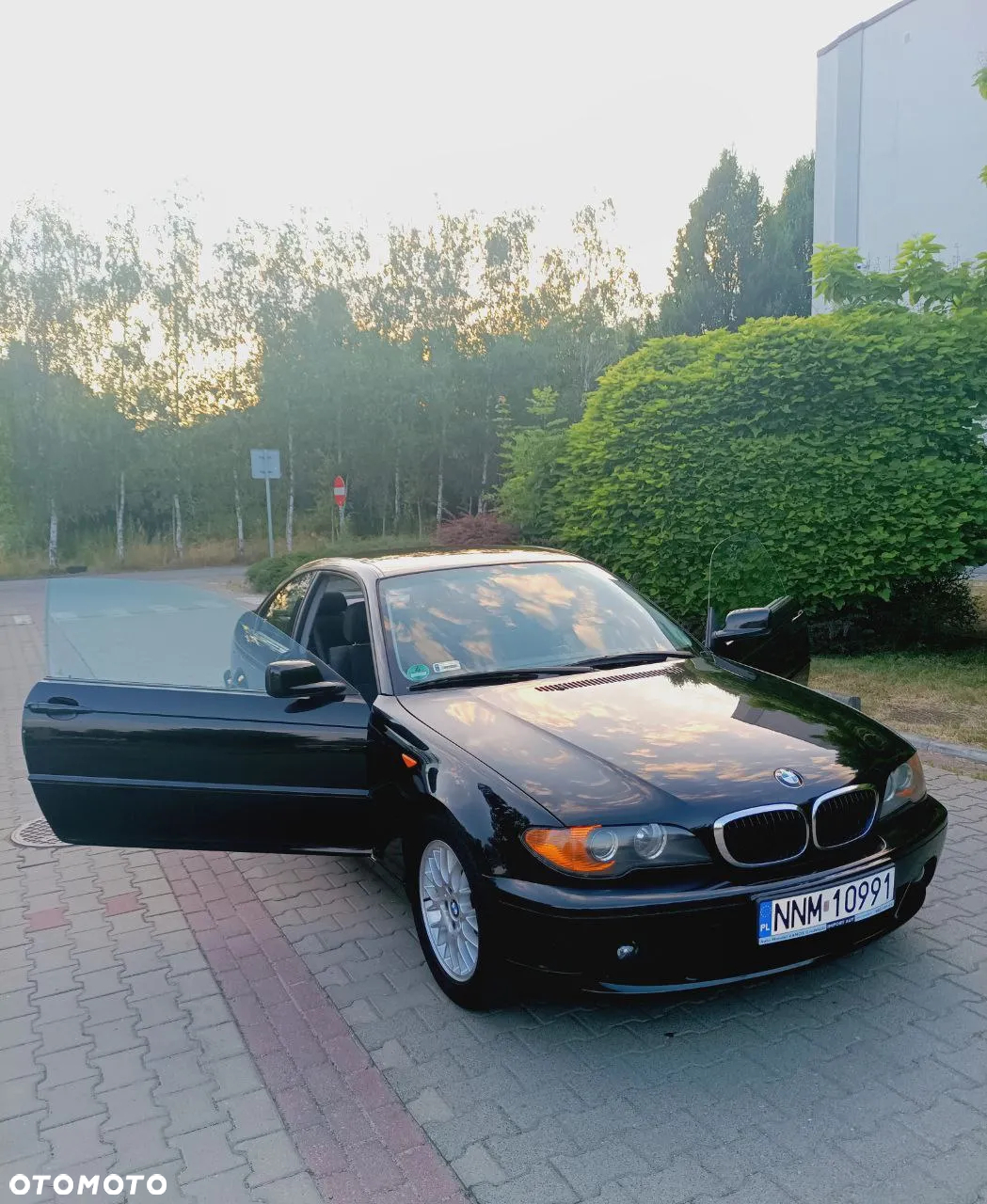 BMW Seria 3 - 16