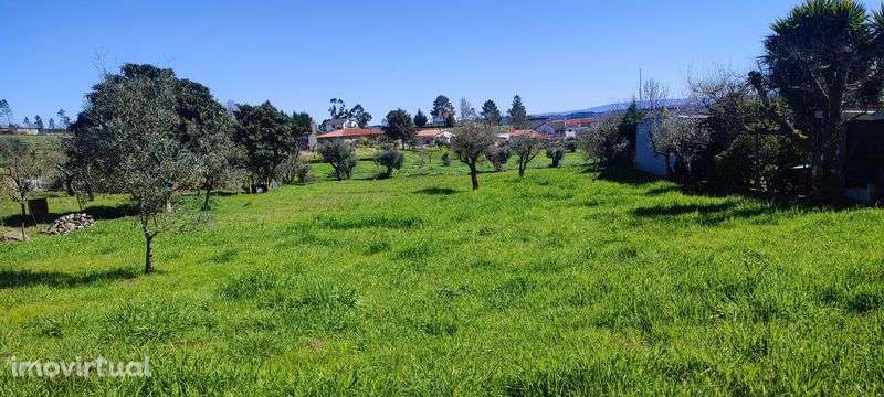Terreno a 24km de Viseu - Grande imagem: 3/6