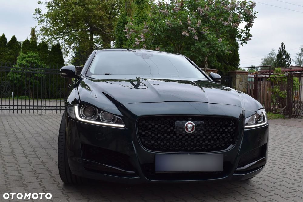Jaguar XF 3.0 TDV6 Portfolio - 9