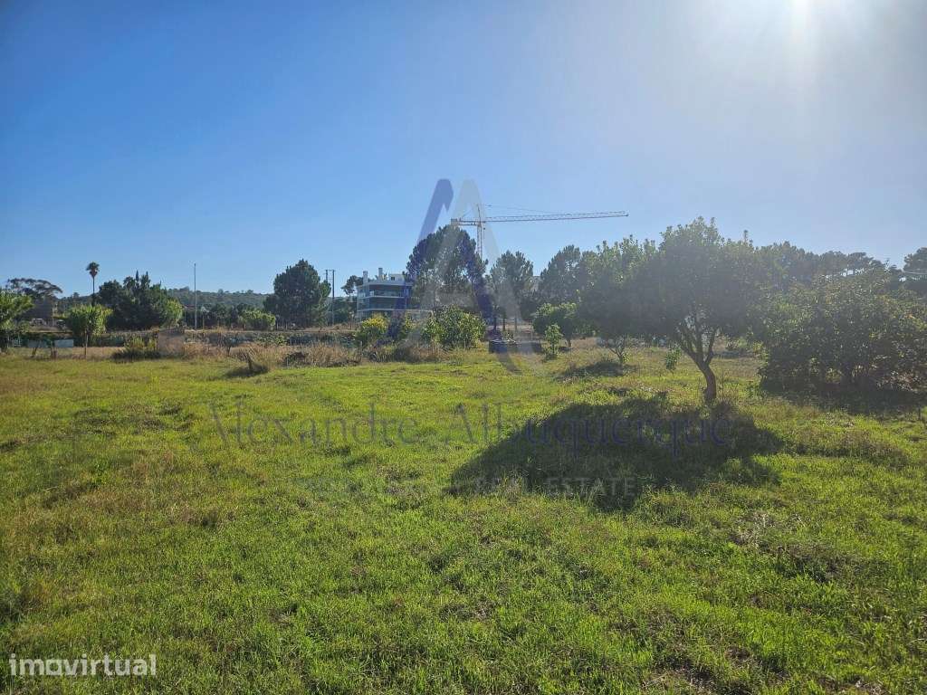 Lote de Terreno para construção 3 de Moradias Isoladas - Maçã Sesimbra - Grande imagem: 2/13