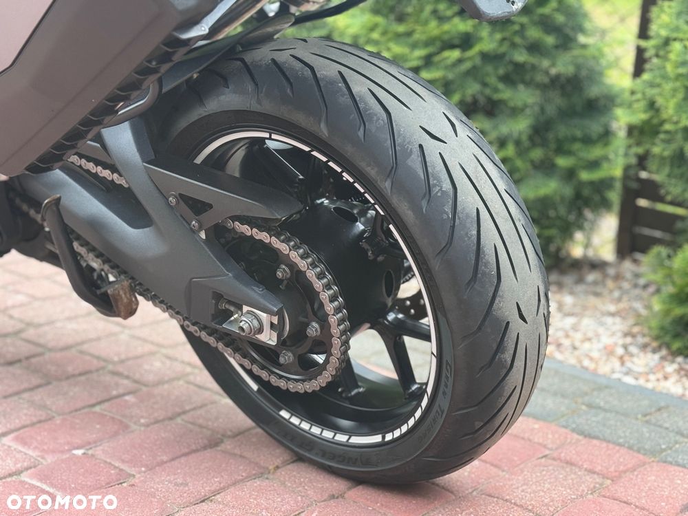 Triumph Tiger - 21