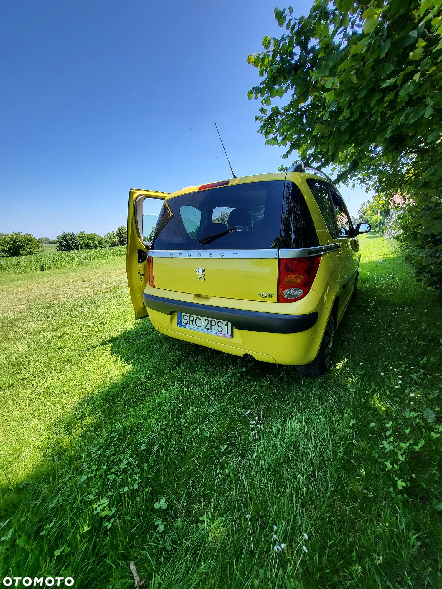 Peugeot 1007 - 8