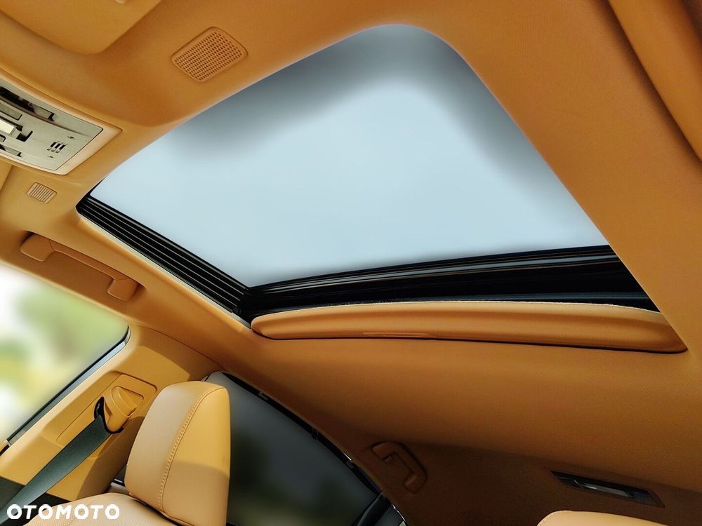 Lexus ES 300h Omotenashi - 41