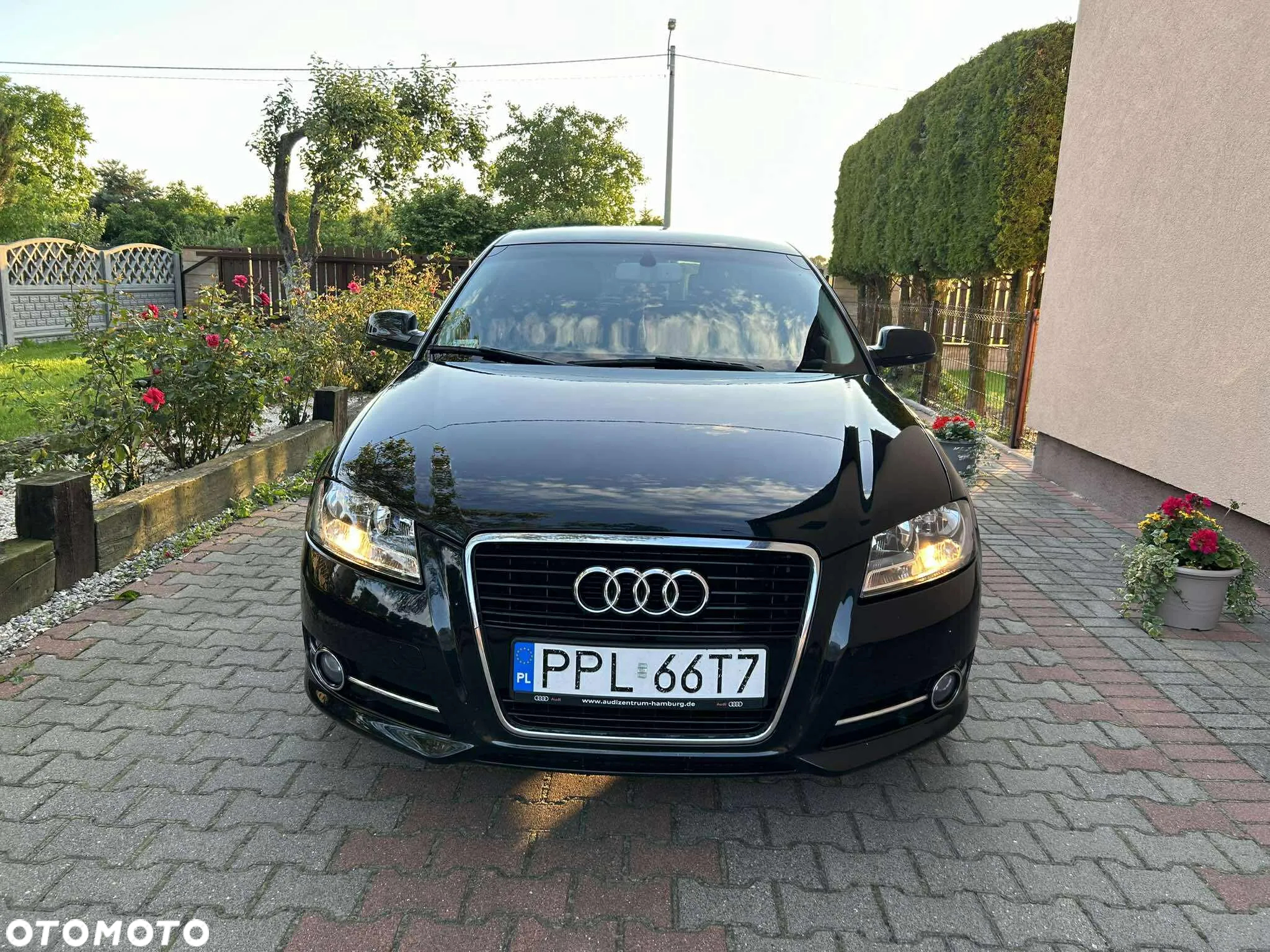 Audi A3 1.6 TDI DPF Ambiente S tronic - 2