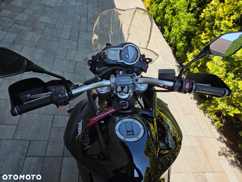 Triumph Tiger - 8
