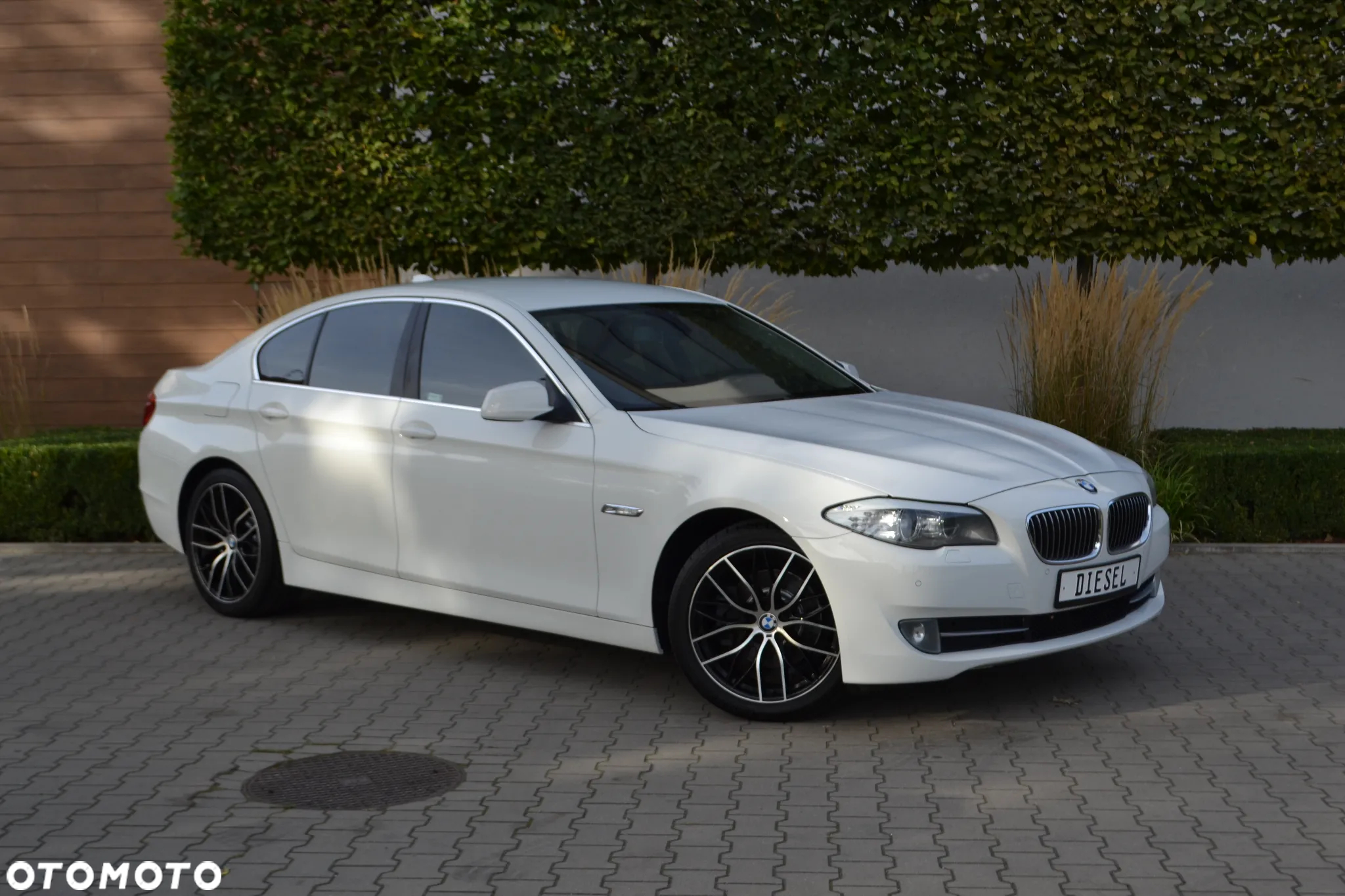 BMW Seria 5 - 2
