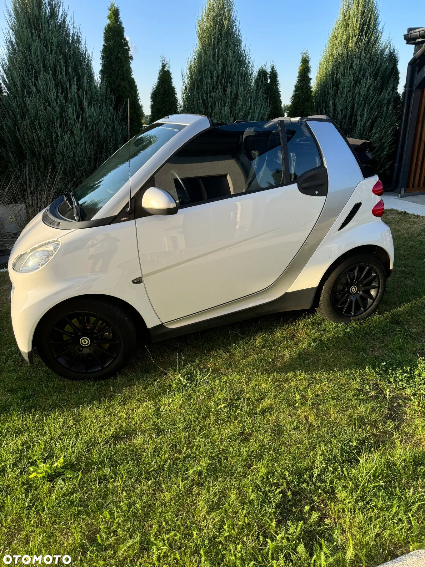 Smart Fortwo & passion - 1