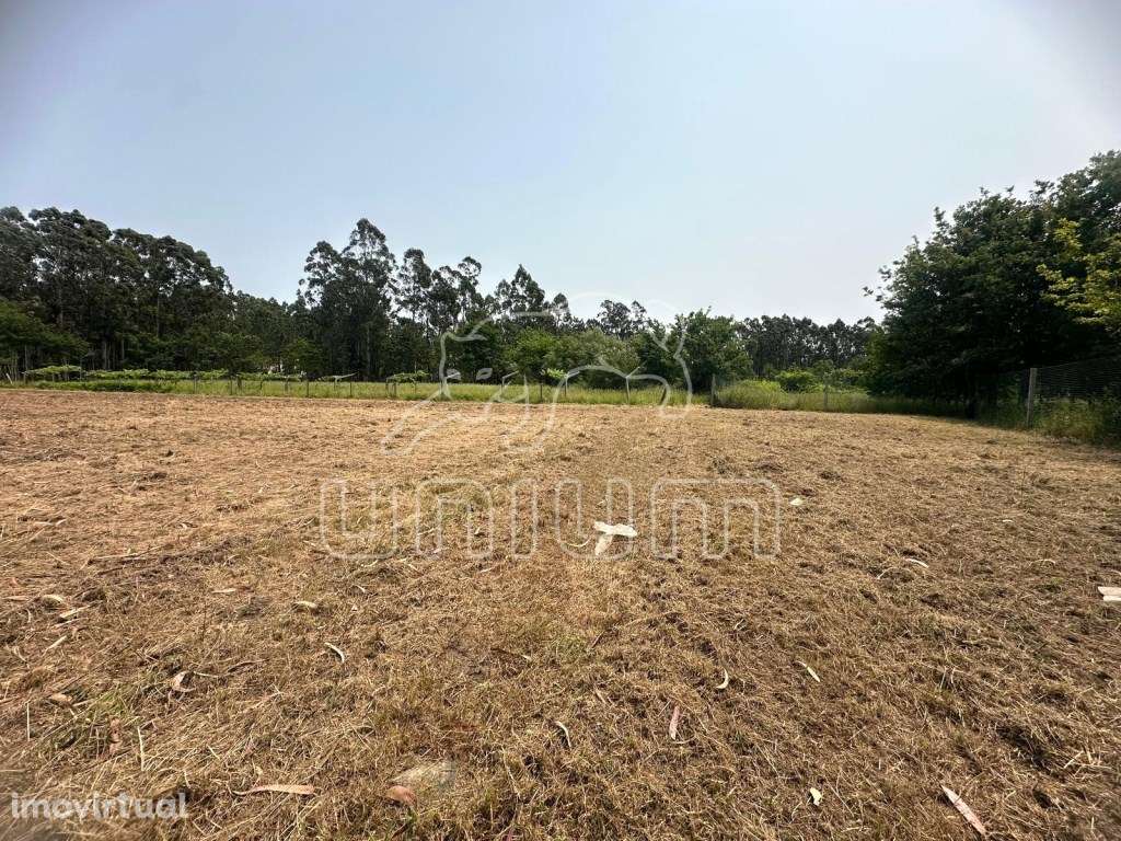 Terreno Agrícola - Alvarães - Grande imagem: 2/3
