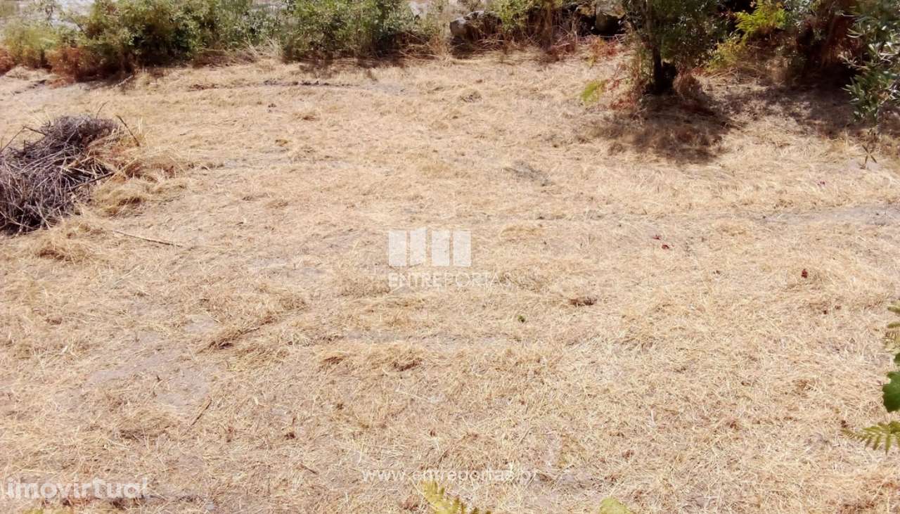 Venda Terreno, Salvador do Monte, Amarante - Grande imagem: 5/20