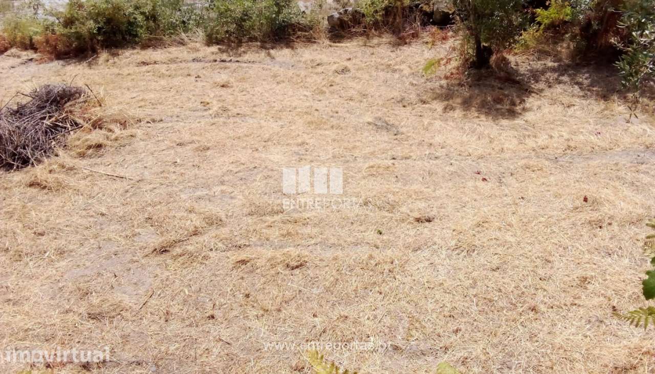 Venda Terreno, Salvador do Monte, Amarante - Grande imagem: 5/20