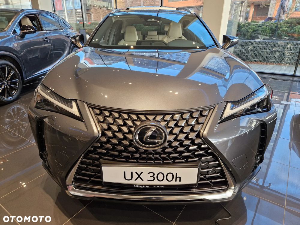 Lexus UX 300h Prestige - 2
