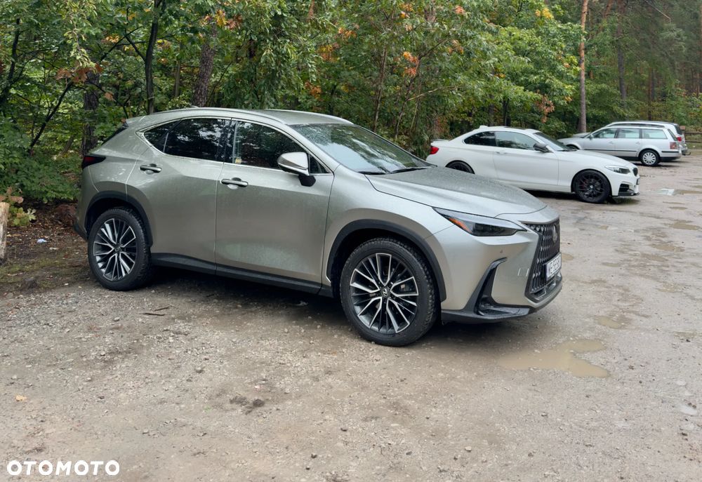Lexus NX 350h Omotenashi AWD - 5