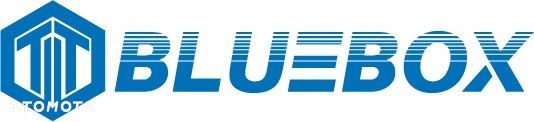 Akumulator BLUEBOX VRLA AGM 12V 10Ah 150x65x100 - 3