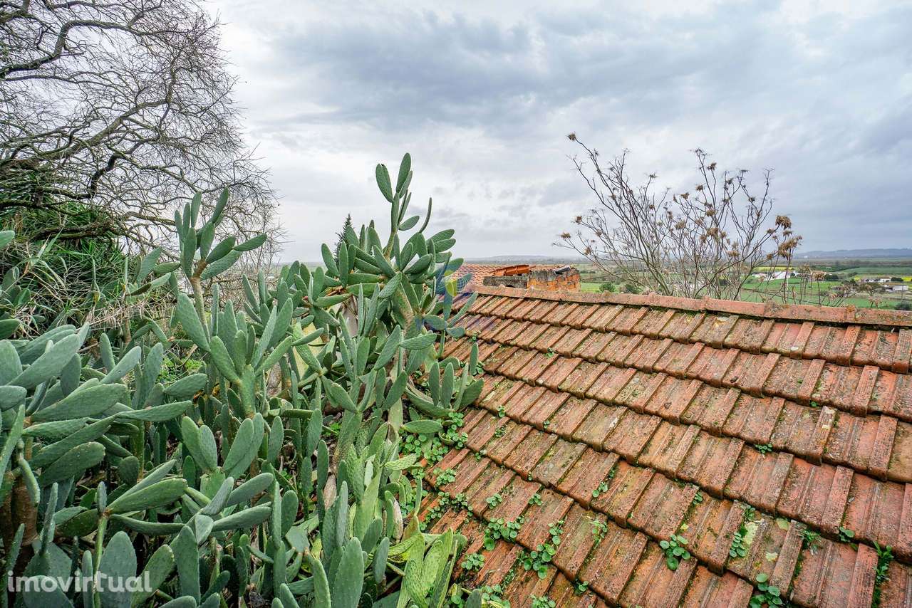 Lote Urbano de 280 m2 com antiga Fábrica em Ruína - Grande imagem: 3/27