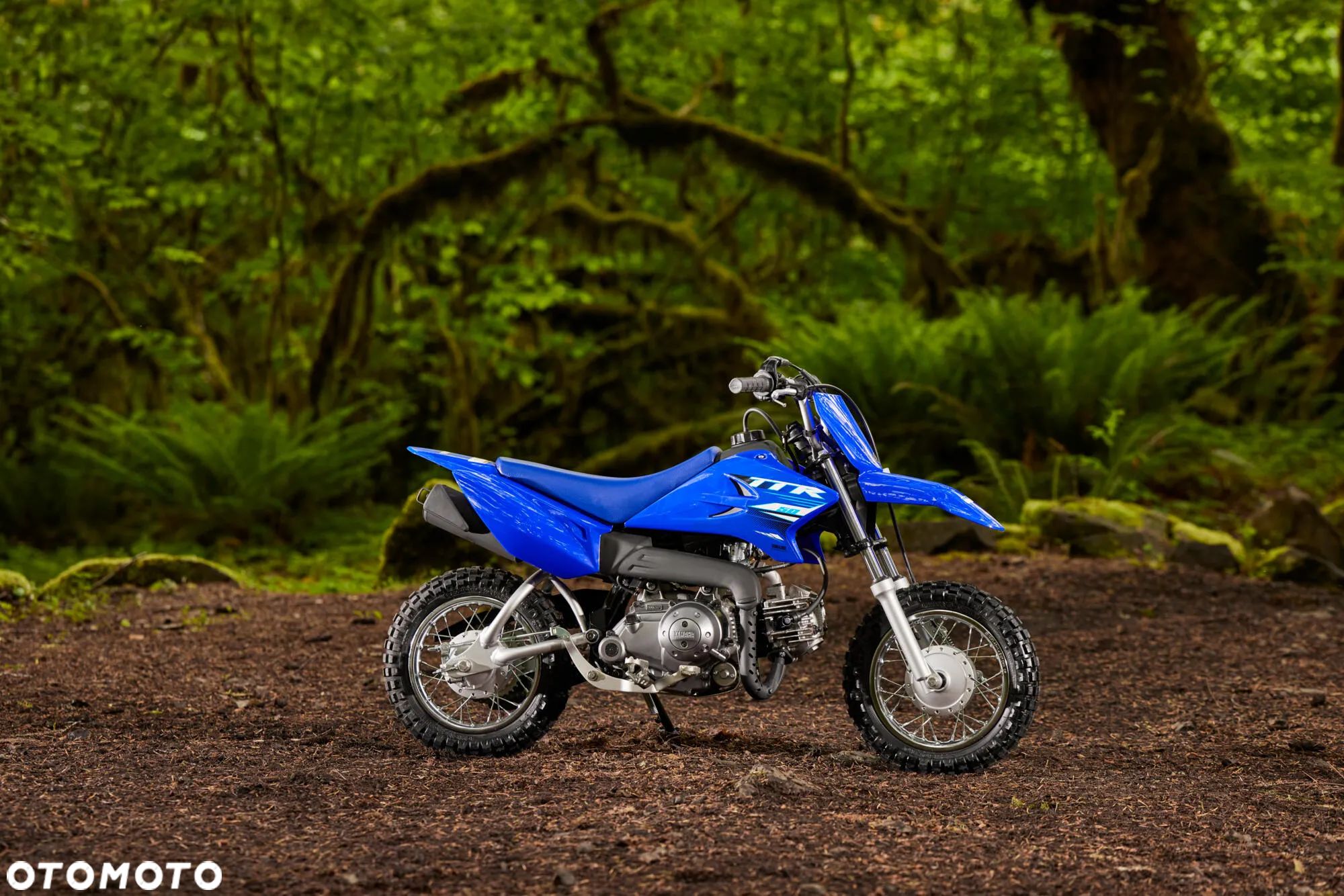 Yamaha TTR - 1