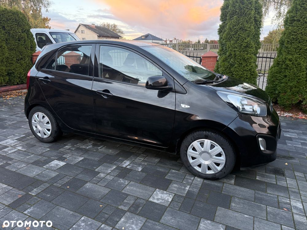 Kia Picanto 1.0 Edition 7 - 5