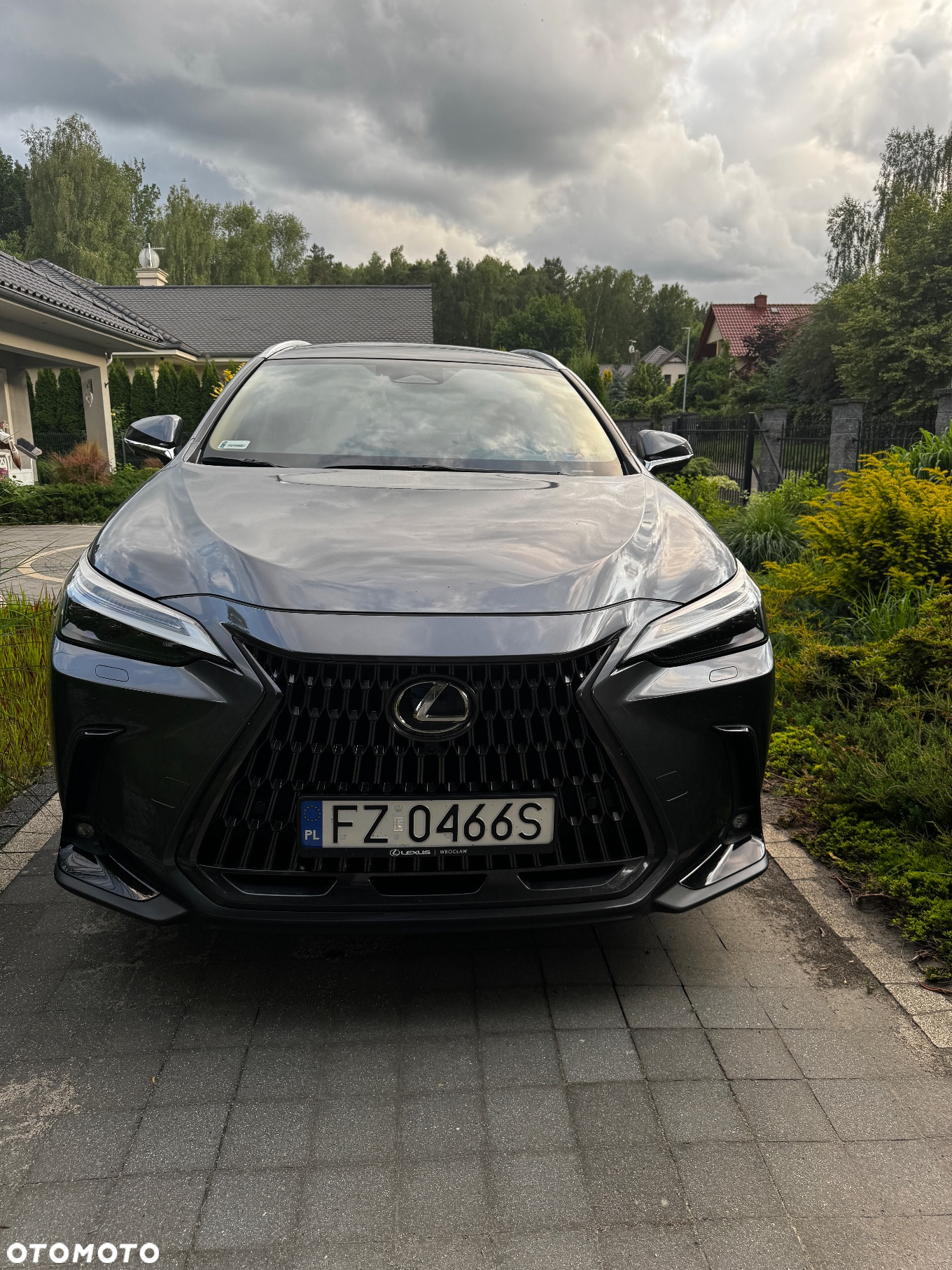 Lexus NX 300 GPF Prestige AWD - 5