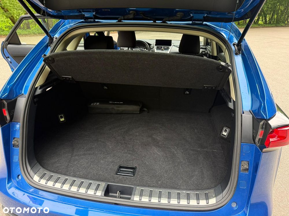 Lexus NX 300 Elegance AWD - 9