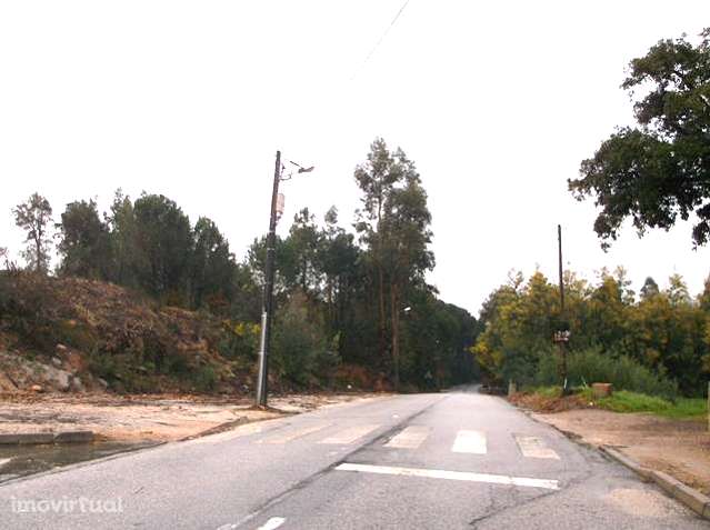 Terreno rústico junto à Feira de Carregal do Sal - Grande imagem: 5/9