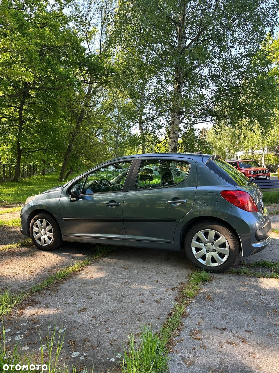 Peugeot 207 - 5