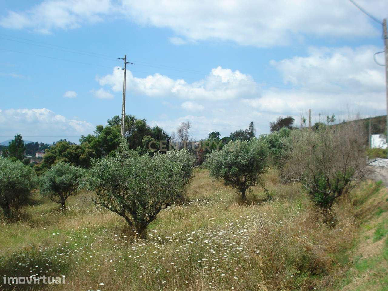 Terreno para construção com vistas boas num local sossegado a 10 min d - Grande imagem: 3/5