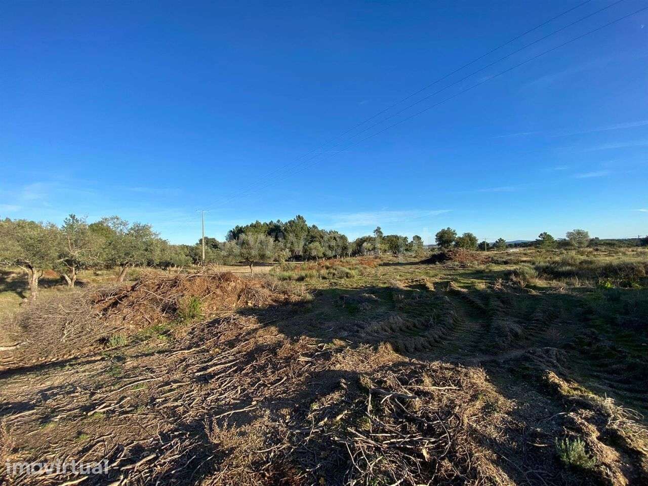 Quintinha T1 / Fundão, Vale Prazeres - Grande imagem: 4/12
