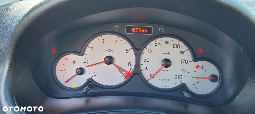 Peugeot 206 110 Quiksilver - 12