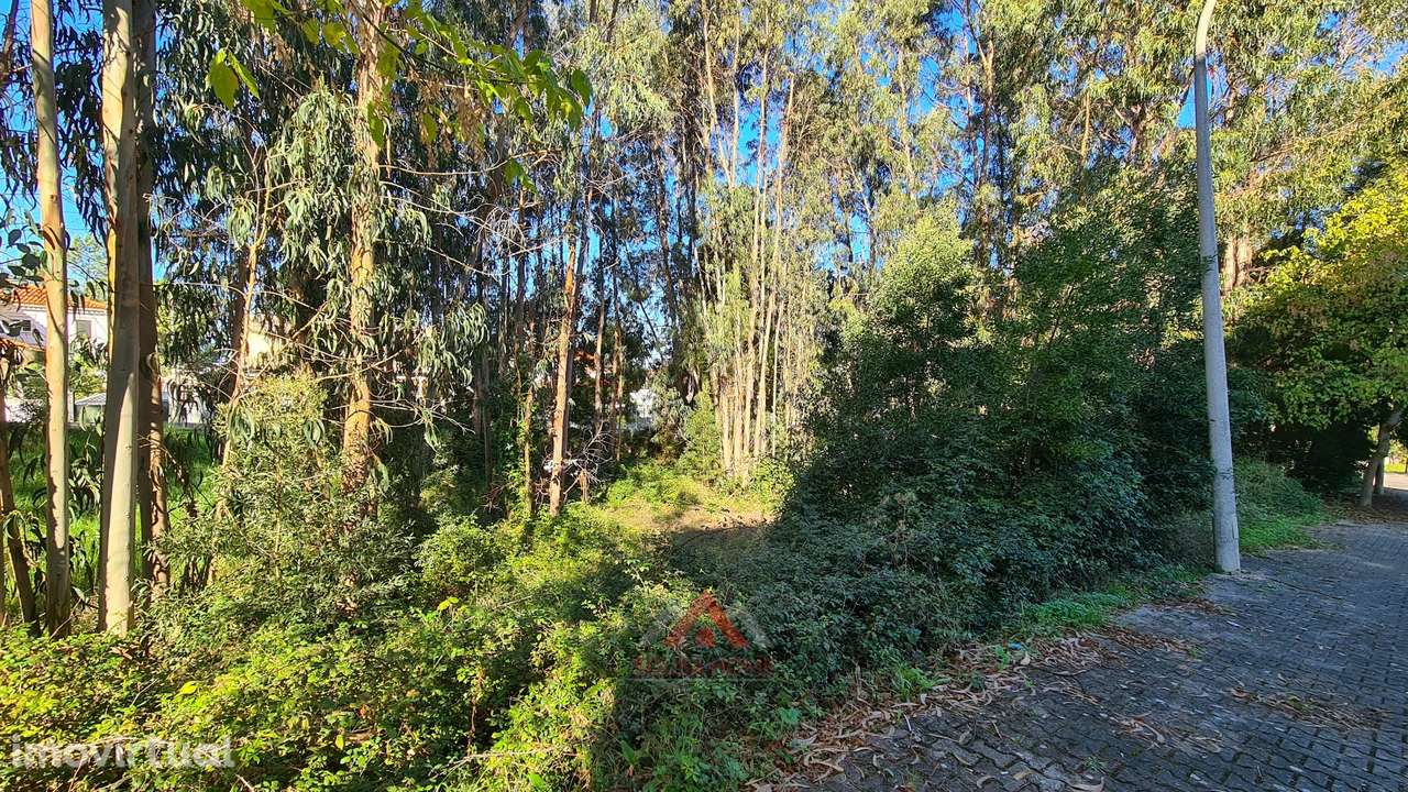 Lote Para Construção / Habitação - Moradia - Grande imagem: 5/23