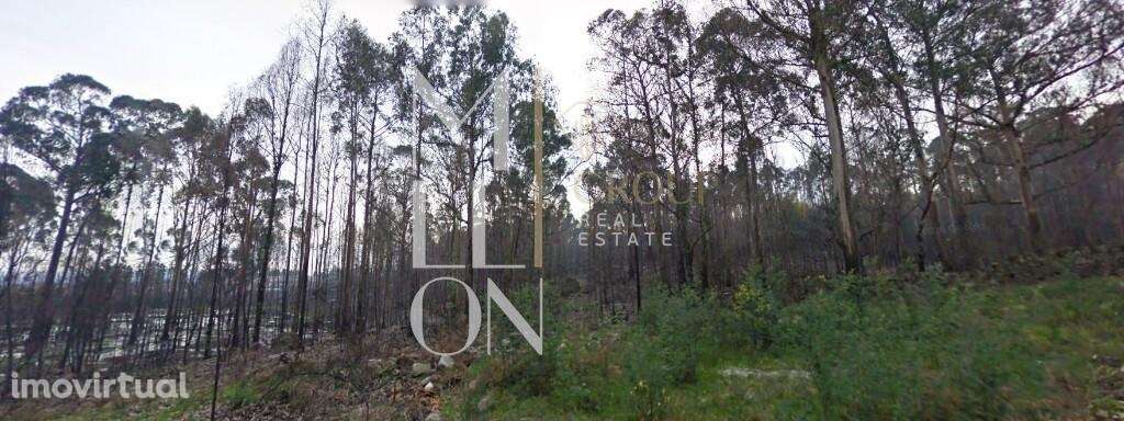 Alerta Investimento, terreno com capacidade construtiva! - Grande imagem: 4/7