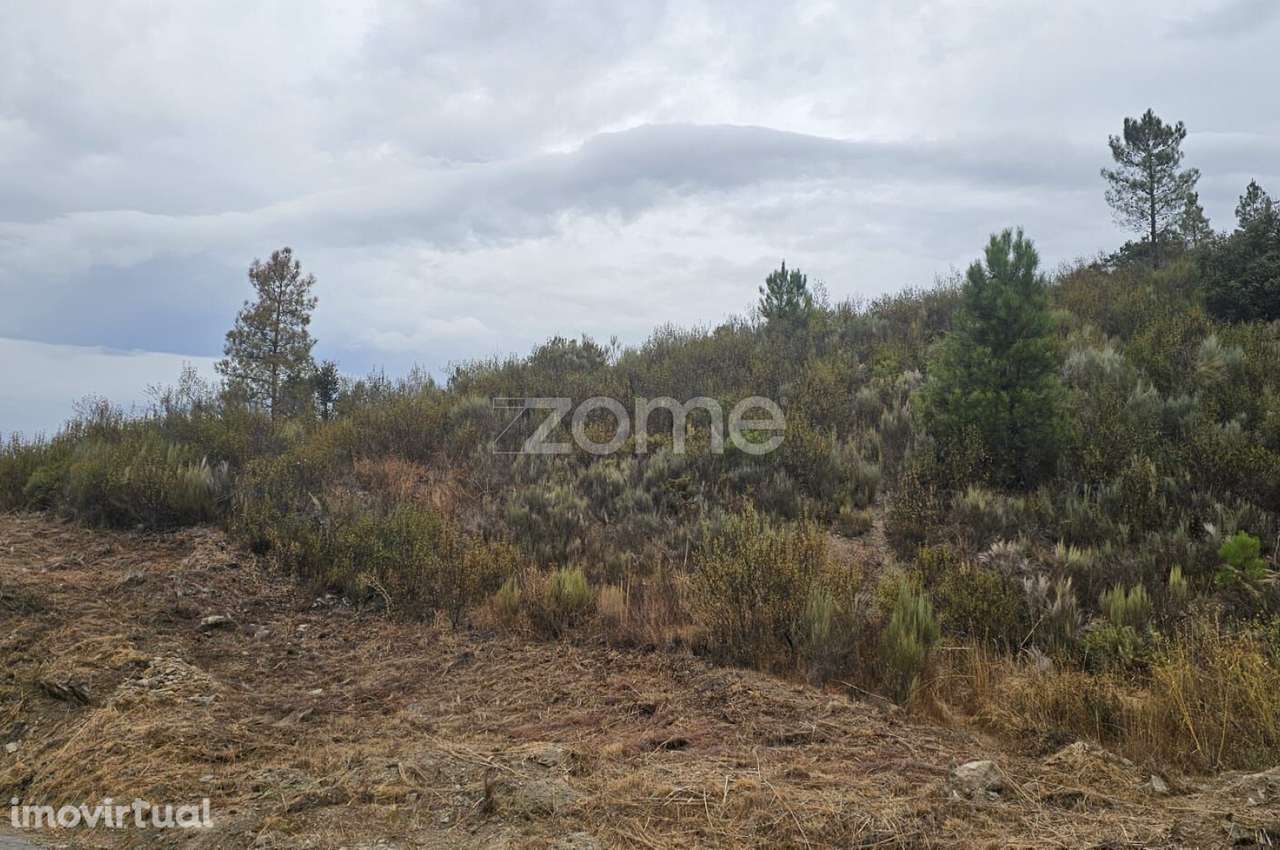 Terreno agrícola com 26.330 m² - Grande imagem: 4/7