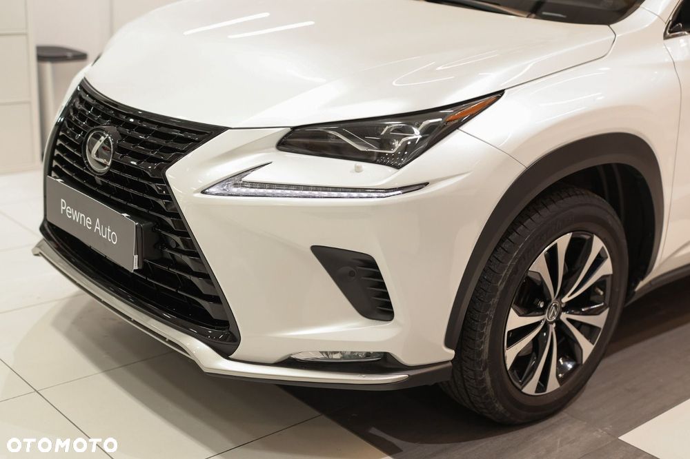 Lexus NX - 29