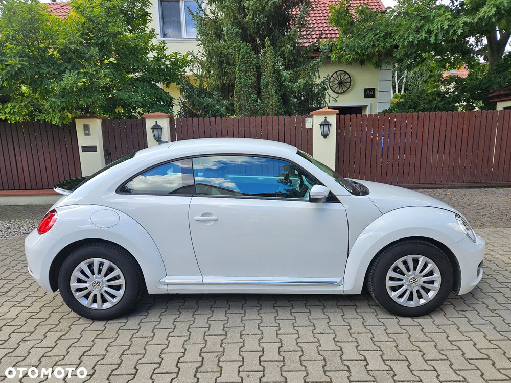 Volkswagen Beetle - 16
